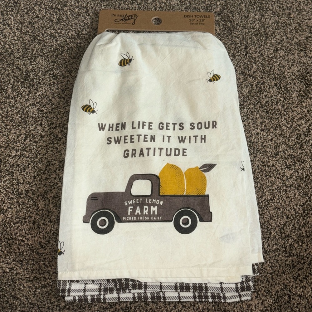 Dish towels set of 2